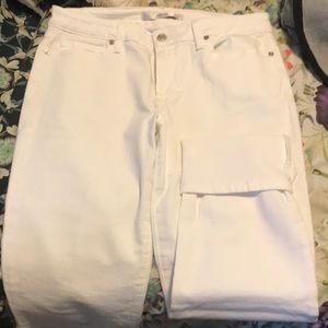 Ladies joe’s Jean capris